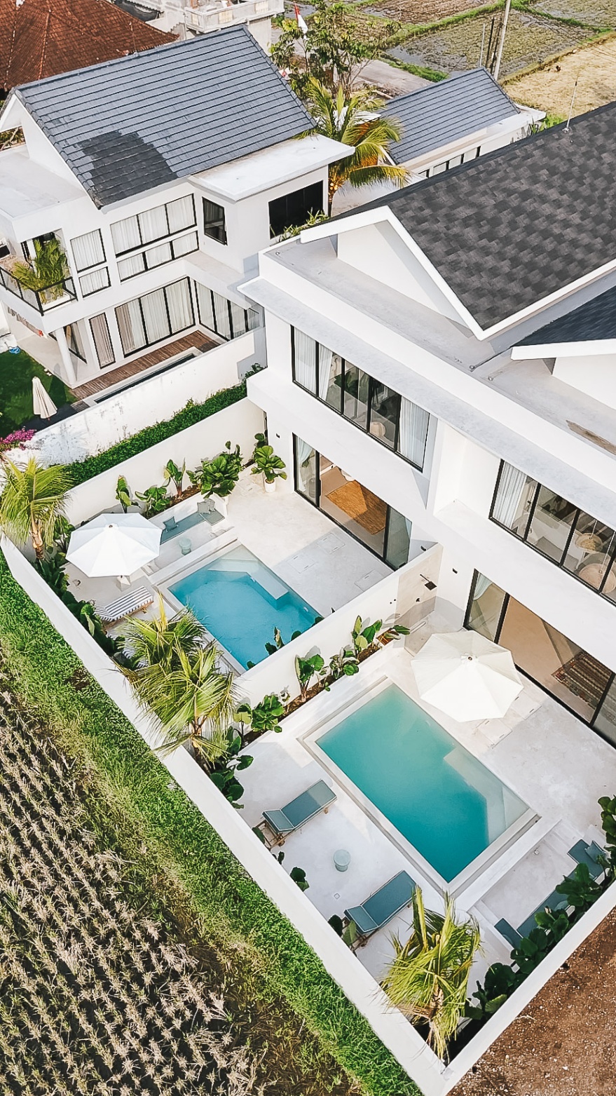 Kedungu Palm - 3 BR Villa in Kedungu