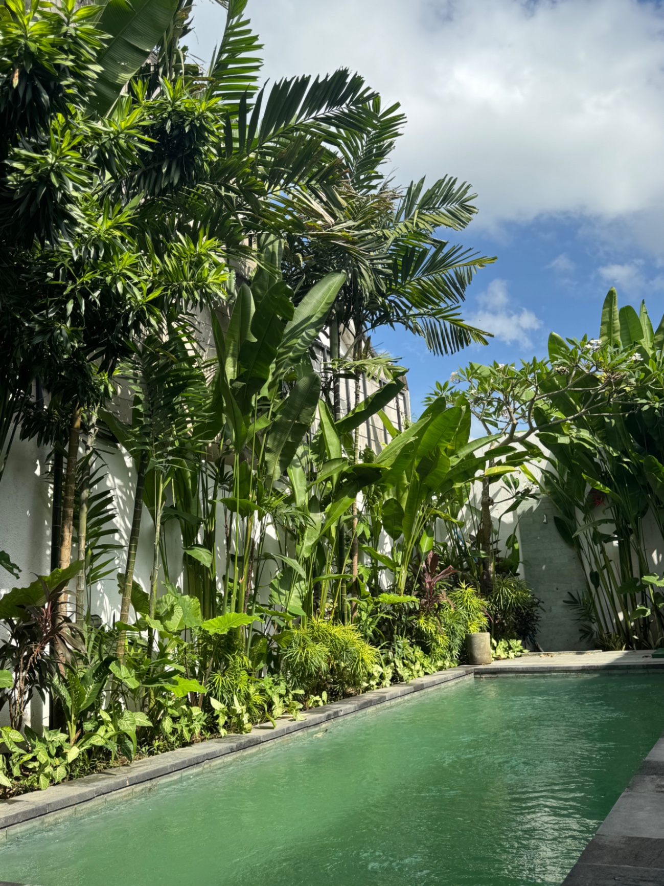 The Green House ( Guest House / 3 rooms )