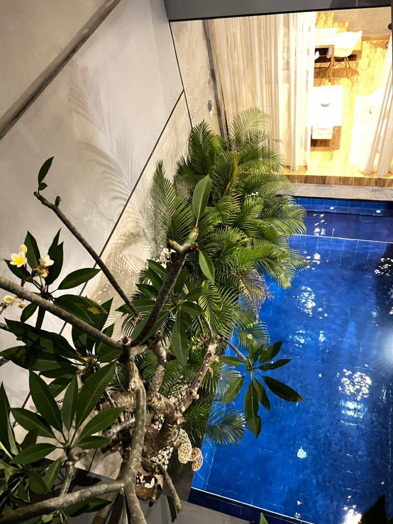 PU-123 VILLA FOR RENT IN BERAWA 2 BEDROOM