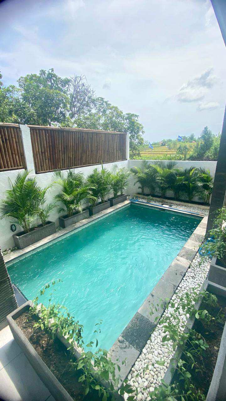 Pet Allowed | 3 Bedrooms | Kerobokan