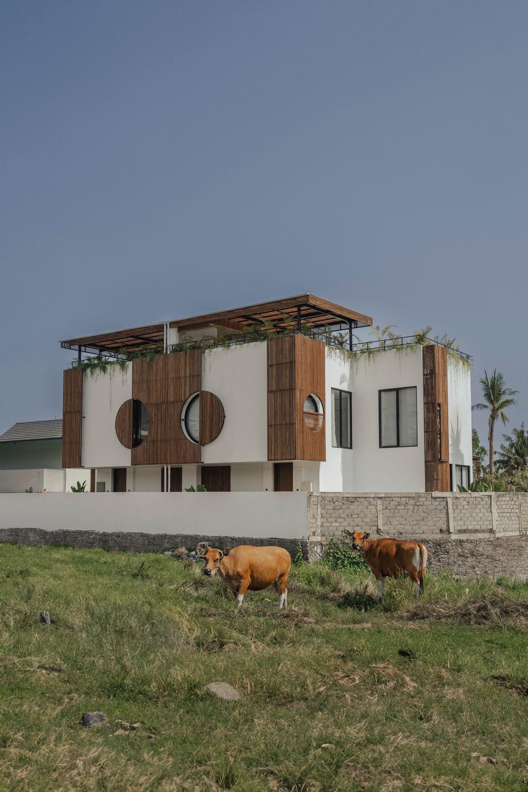 Villa For Rent 4 Bed In Pererenan,Badung Bali PO-3486