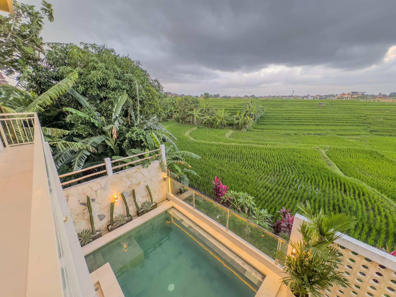 3BR Modern Villa with rice field views at Canggu