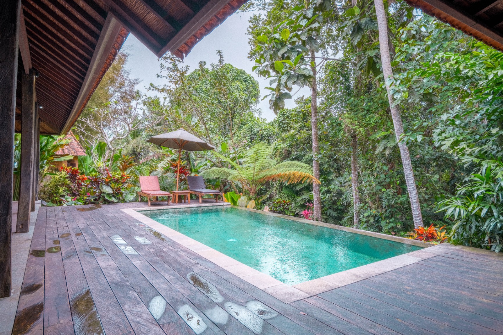 For Rent-3 bedrooms villa with private pool & jungle view in Kenderan, Ubud