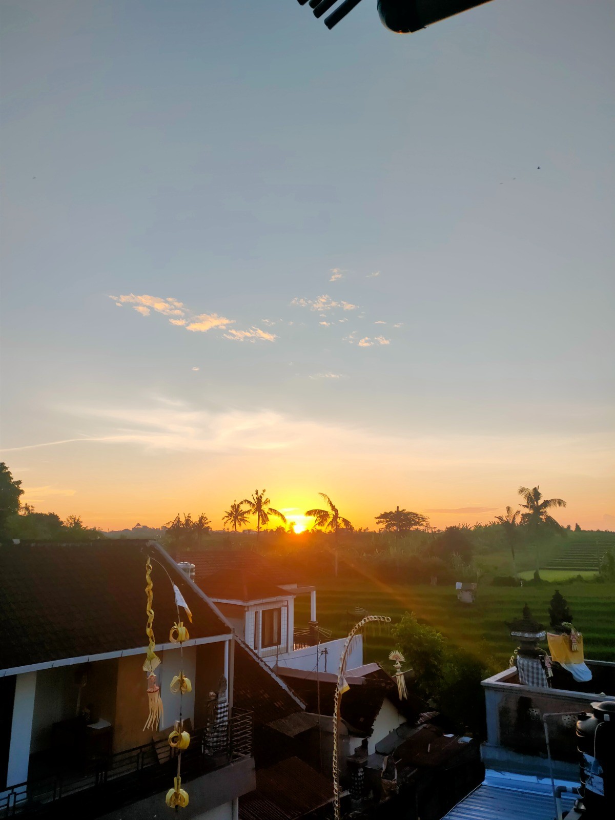 Modern 3BR Villa w/ Rice Field Views