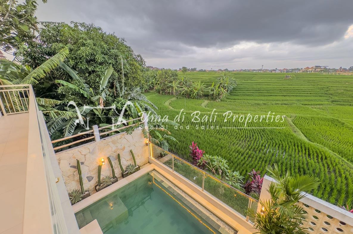 3BR VILLA FOR RENT AT BABAKAN - CANGGU | IP 788