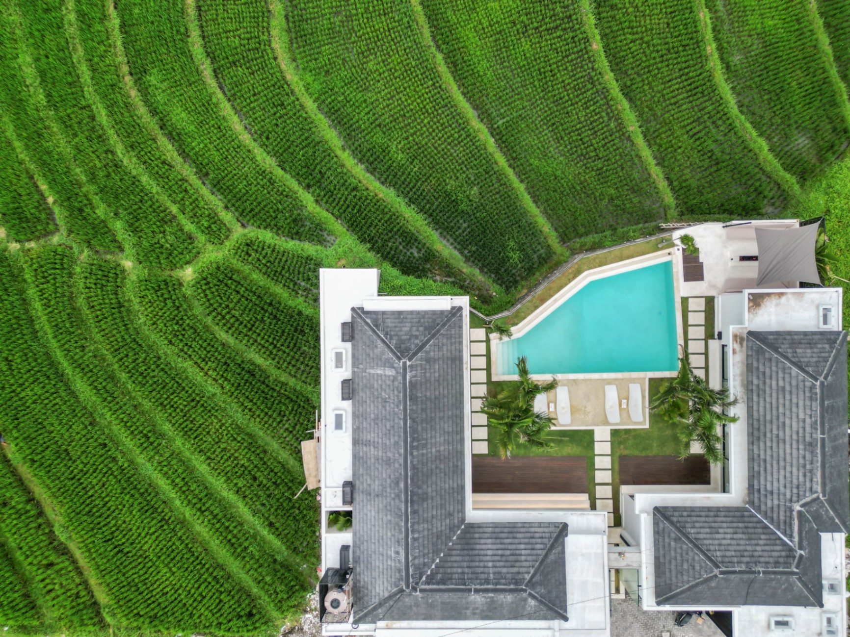 Pererenan 5- bedroom