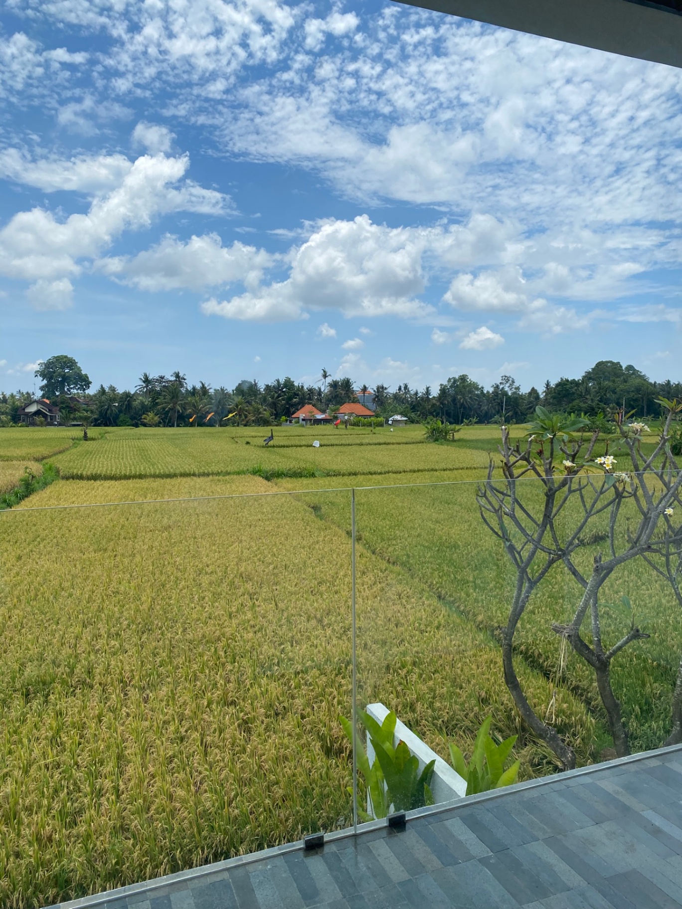 Monthly / Yearly Villa for Rent in Ubud – 2 Bedrooms 